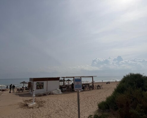 Guardamar del Segura Costa Blanca Zuid-WhatsApp Image 2026-09-15 at 11.38.49 (2)